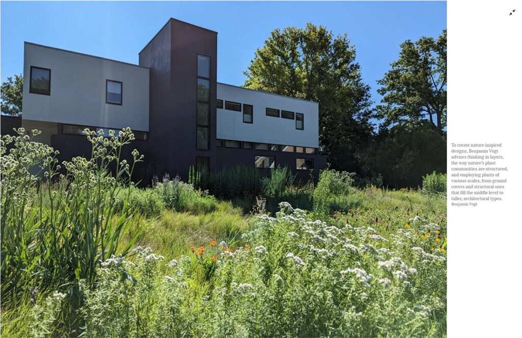 A Beginner’s Guide to the Naturalistic Garden